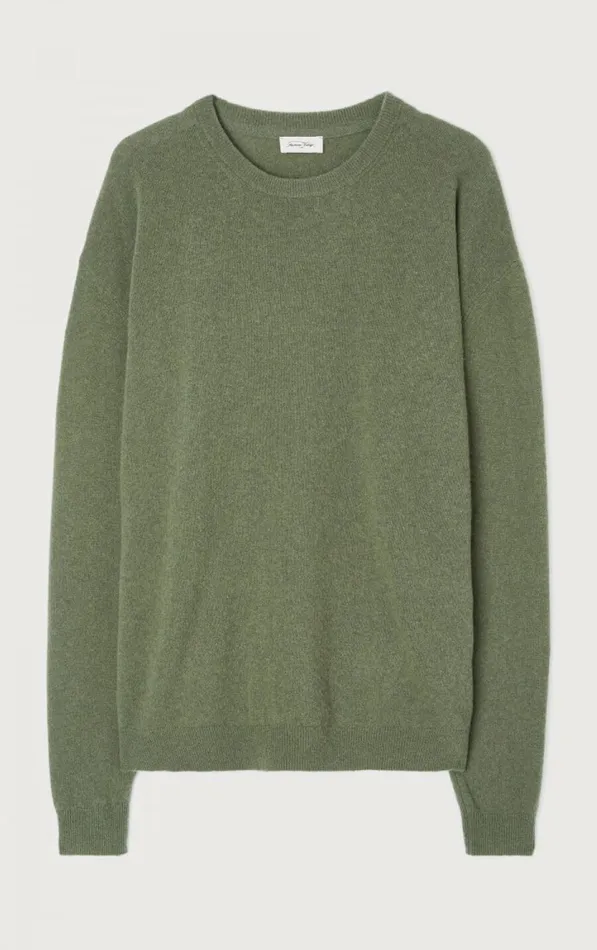 American Vintage Jumpers and Cardigans Men Jumper Raxow Turtle