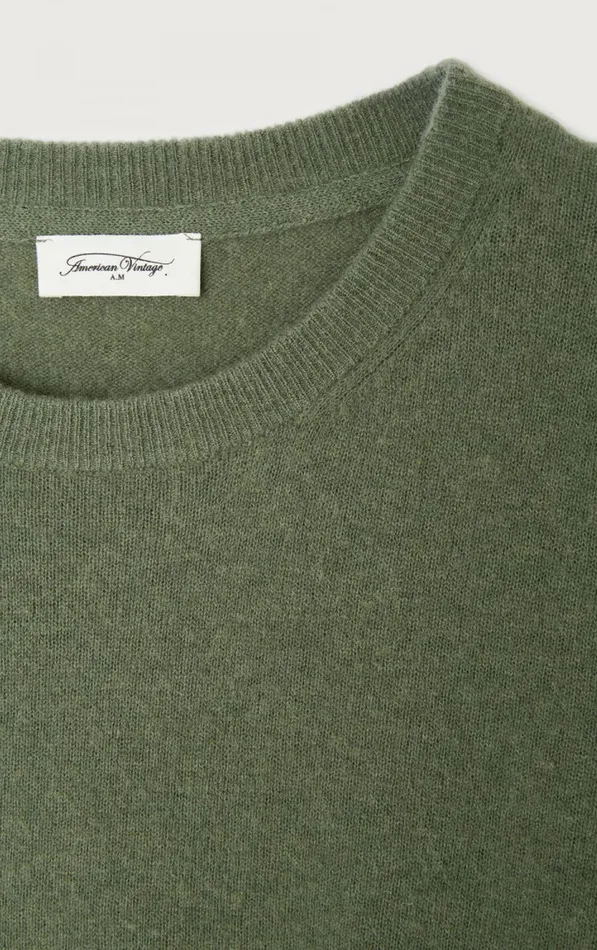 American Vintage Jumpers and Cardigans Men Jumper Raxow Turtle