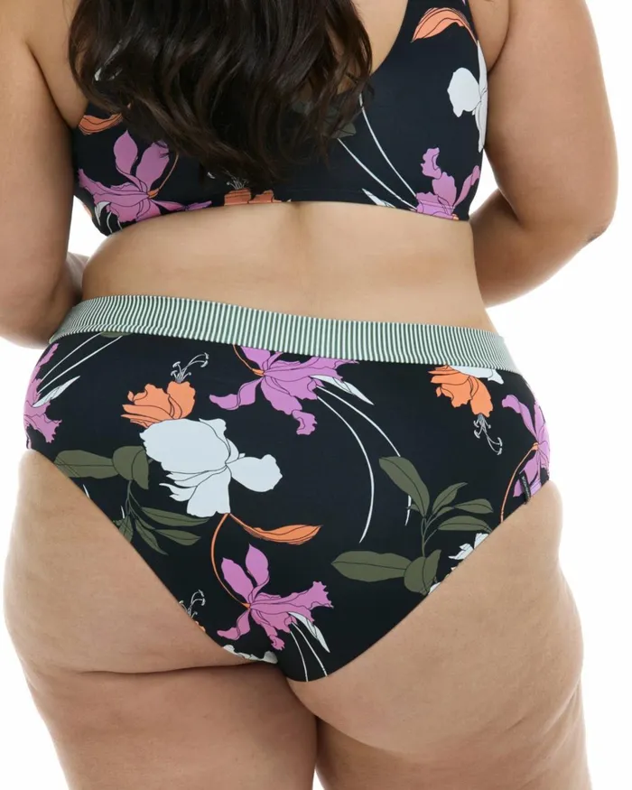 Body Glove Plus Size Swimwear Women Dreamy Marlee Plus Size HighWaist Bikini Bottom 8211 Black Dreamy
