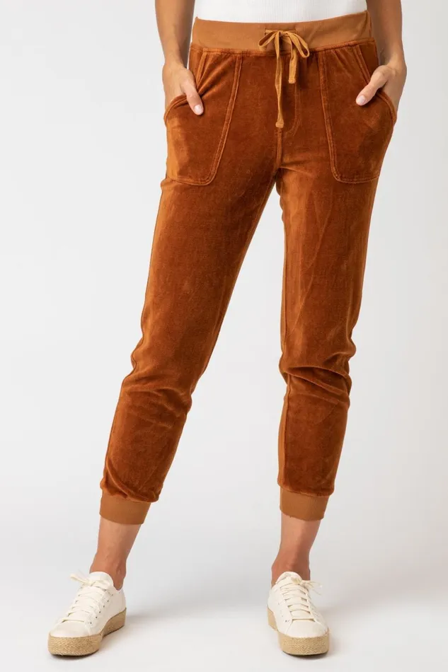 Clothing Pants XCVI Carlin Jogger Golden Topaz