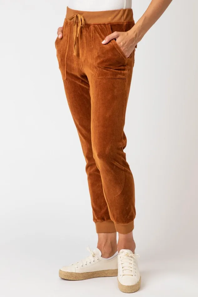 Clothing Pants XCVI Carlin Jogger Golden Topaz