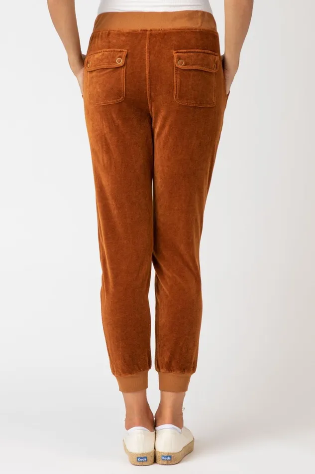 Clothing Pants XCVI Carlin Jogger Golden Topaz