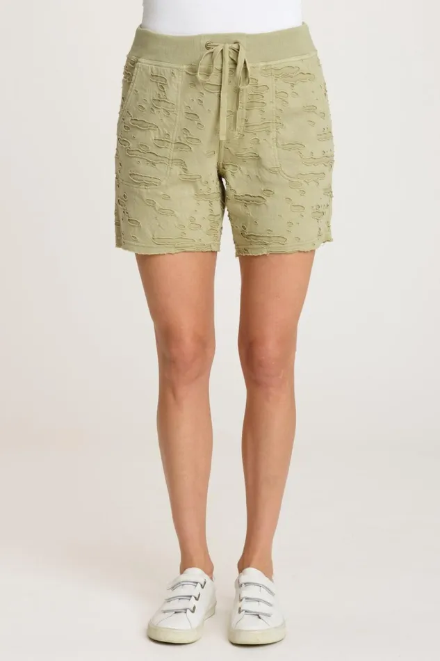 Clothing Shorts XCVI Babette Short Limescent Pigment