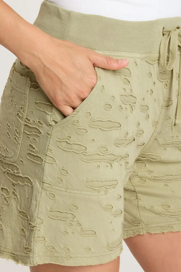 Clothing Shorts XCVI Babette Short Limescent Pigment