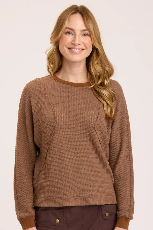 Clothing Sweatshirts XCVI Delsi Pullover Rufous Pigment