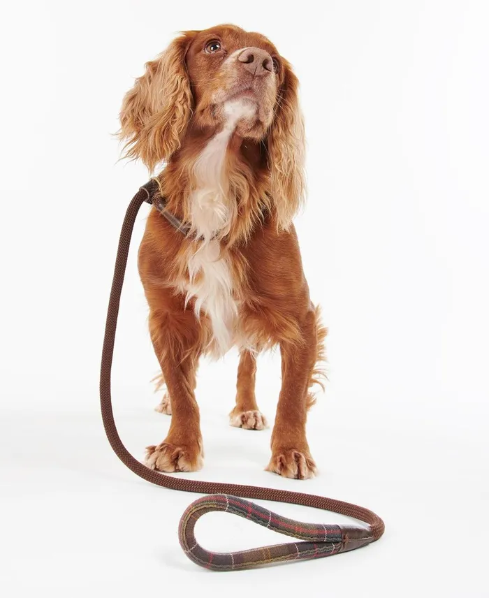 Dogs Leads Barbour Tartan Trimmed Slip Lead Classic Tartan