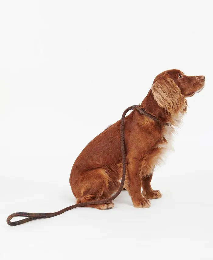 Dogs Leads Barbour Tartan Trimmed Slip Lead Classic Tartan Dogs Leads Barbour Tartan Trimmed Slip Lead Classic Tartan