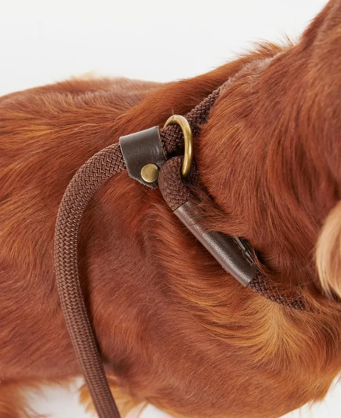 Dogs Leads Barbour Tartan Trimmed Slip Lead Classic Tartan Dogs Leads Barbour Tartan Trimmed Slip Lead Classic Tartan