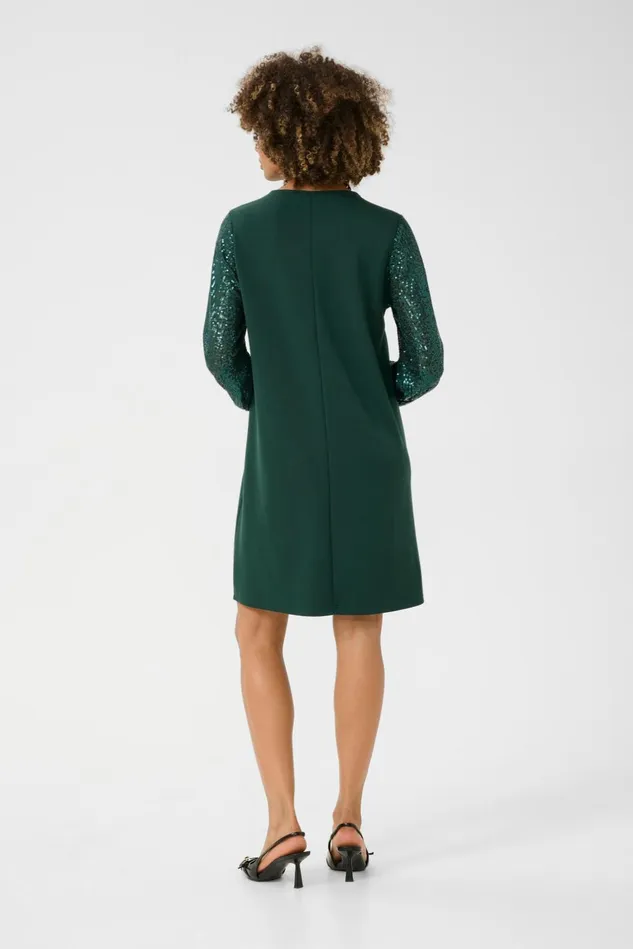 Dresses Women CULTURE CUchabrina Sequin Dress Botanical Garden