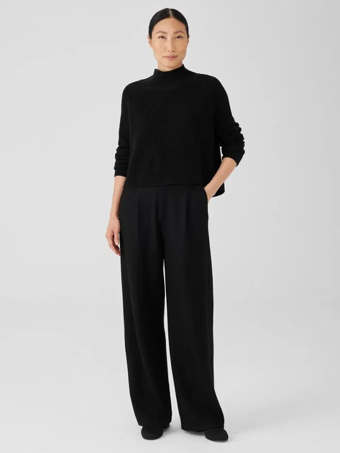 Eileen Fisher Pants Shorts and Jumpsuits Boiled Wool Jersey Pleated WideLeg Pant Black 8211 Shop Eileen Fisher Pants Shorts and Jumpsuits Boiled Wool Jersey Pleated WideLeg Pant Black 8211 Shop