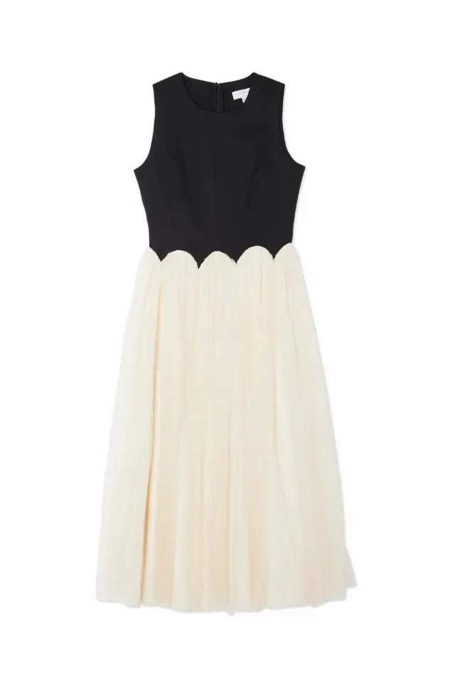 Never Fully Dressed Black And Cream Monika Dress Women Wedding Guest