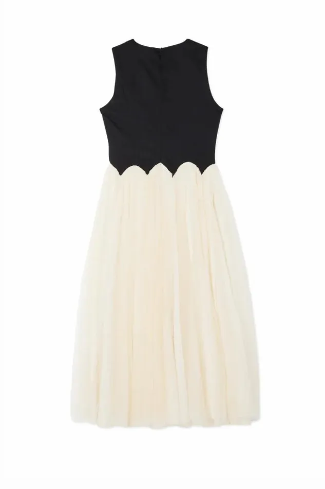 Never Fully Dressed Black And Cream Monika Dress Women Wedding Guest
