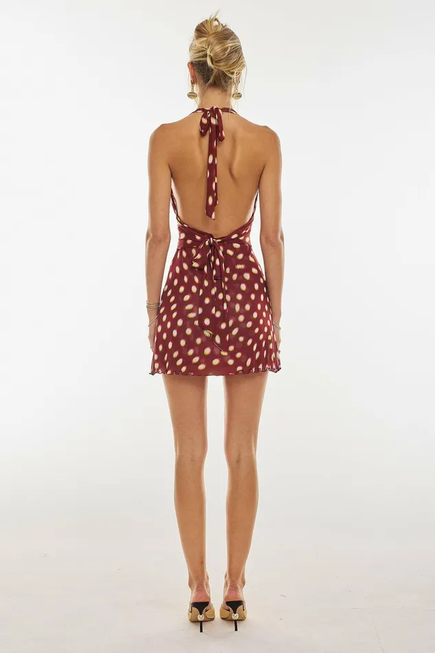 RESA Clint Mini In Spice Women Mini Dresses