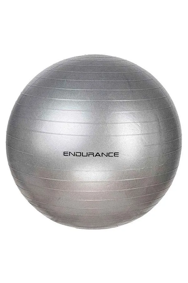 Sosandar Activewear Women Silver Yoga and Fitness Gym Ball Silver