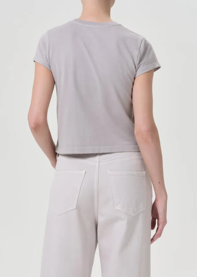 Tops and Bodysuits Women Agolde Adine Shrunken Tee In Flake