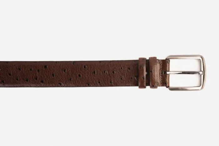 Vinci Leather Leather Belts The Monterrey Brown Leather Belt 8211 Men