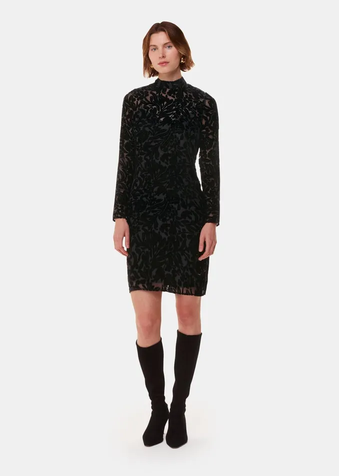 Women Dresses Whistles Black Hot Fix Floral Velvet Dress