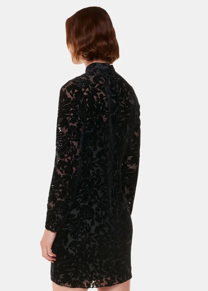 Women Dresses Whistles Black Hot Fix Floral Velvet Dress