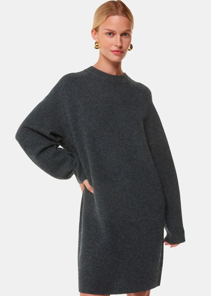 Women Dresses Whistles Grey Ava Round Neck Knitted Dress