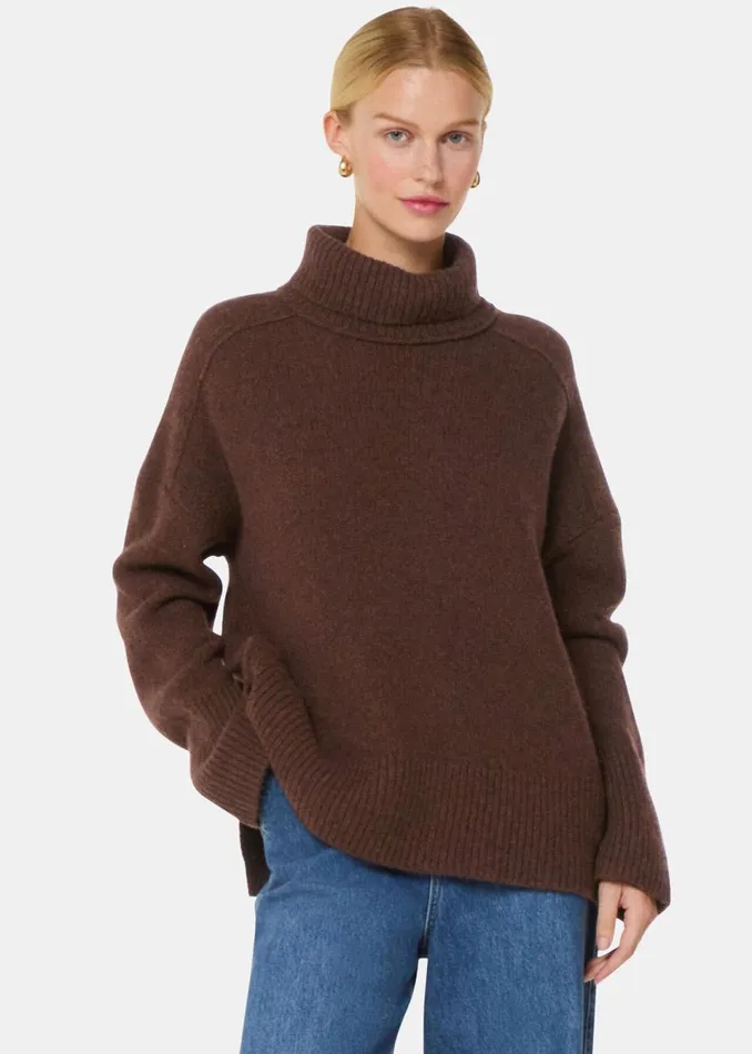 Women Knitwear and Cashmere Whistles Brown Wool Roll Neck Knit