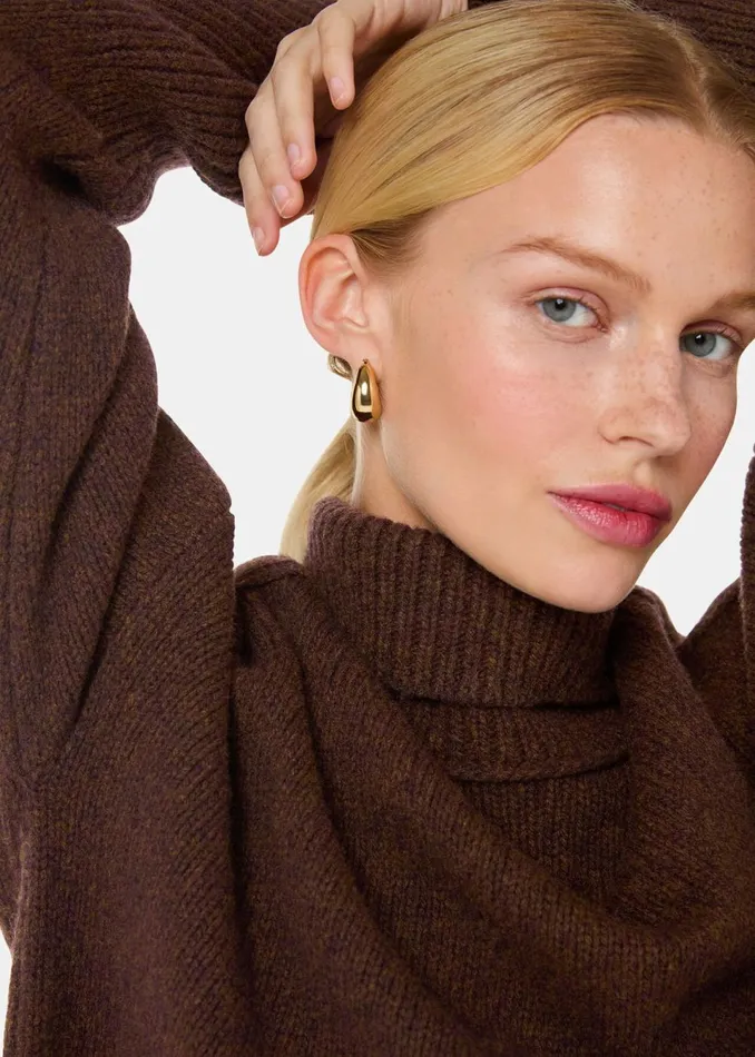 Women Knitwear and Cashmere Whistles Brown Wool Roll Neck Knit