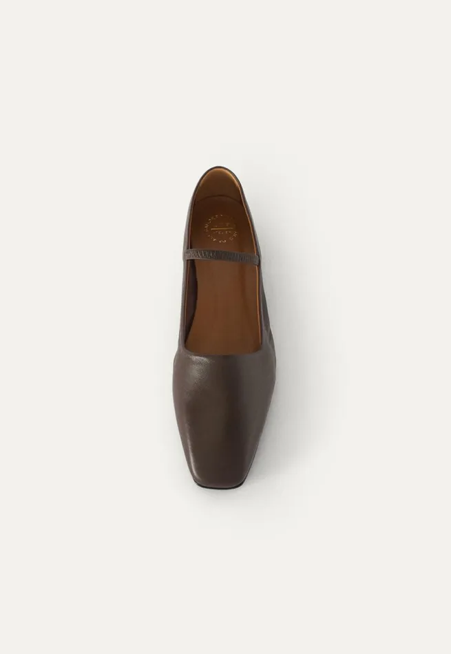 Women Mary Jane Pumps Dark Brown Poetry Fashion Footwear