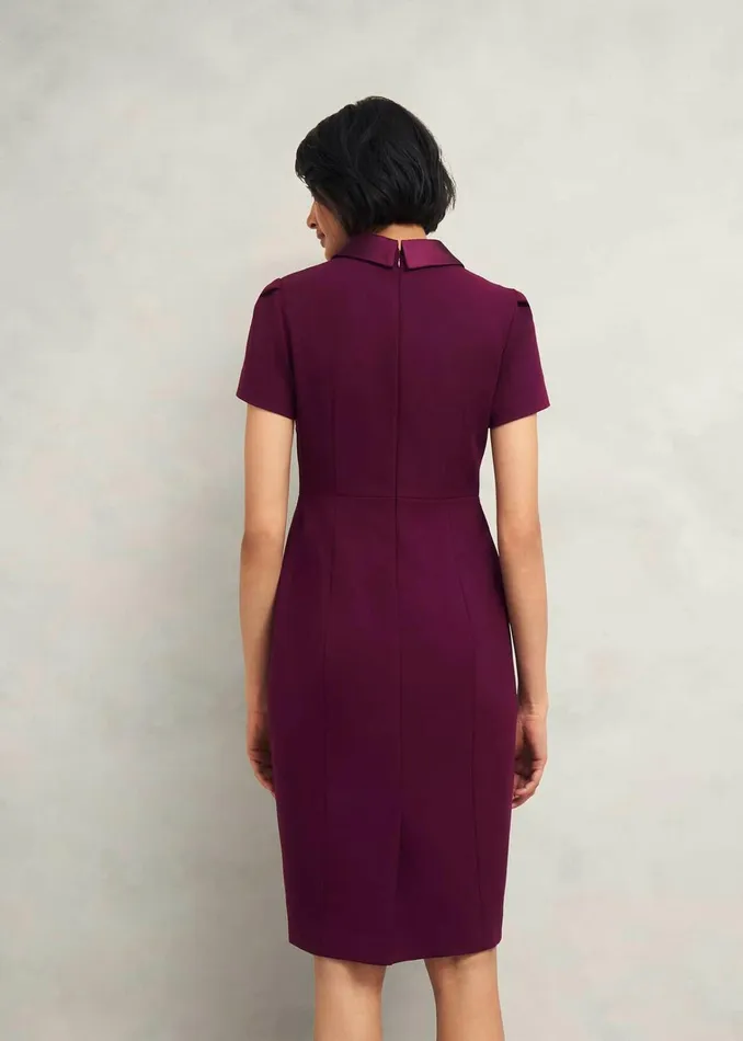 Women Petite Amira Dress Warm Plum Hobbs Dresses and Jumpsuits