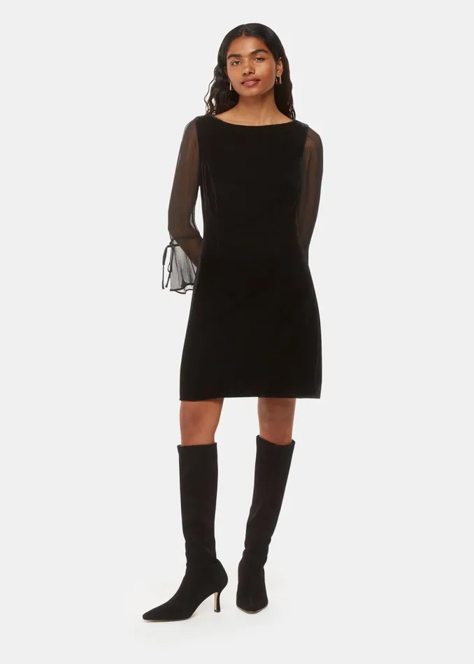 Women Petite Dresses and Jumpsuits Whistles Black Petite Myla Velvet Mini Dress