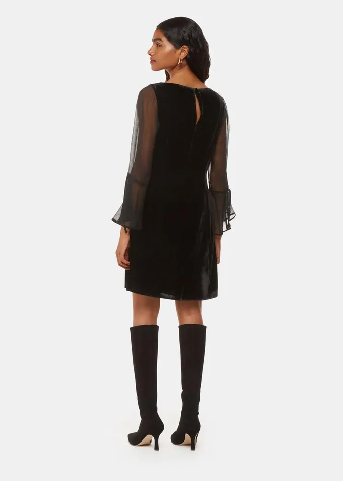 Women Petite Dresses and Jumpsuits Whistles Black Petite Myla Velvet Mini Dress