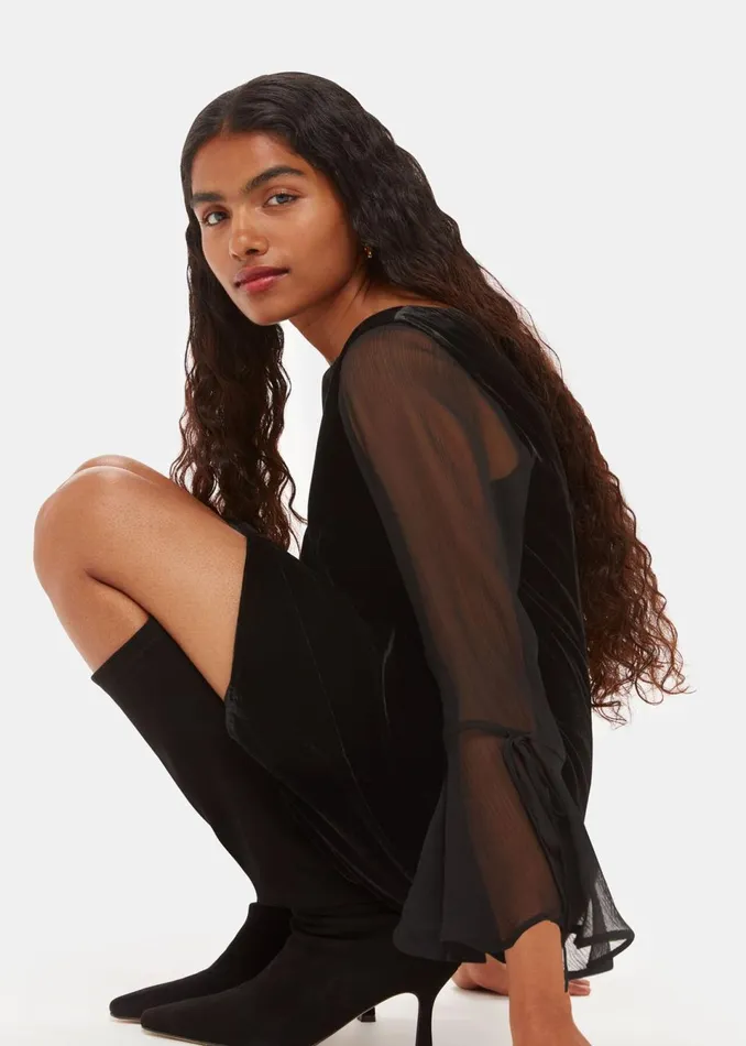 Women Petite Dresses and Jumpsuits Whistles Black Petite Myla Velvet Mini Dress