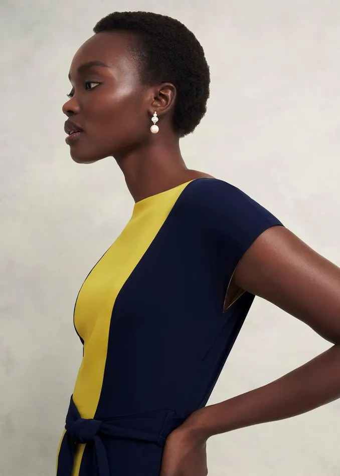Women Petite Emery Tie Belted Dress Navy Yellow Hobbs Dresses and Jumpsuits