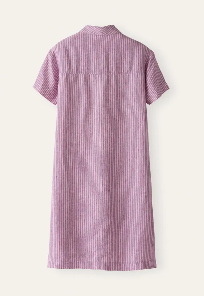 Women Striped Aline Dress Peony Pink Poetry Fashion Dresses and Skirts